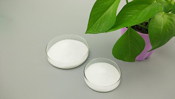 除了提供優(yōu)質(zhì)聚乙烯蠟，賽諾新材更注重服務(wù)